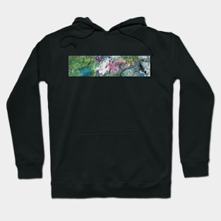 Chico aoshima Hoodie